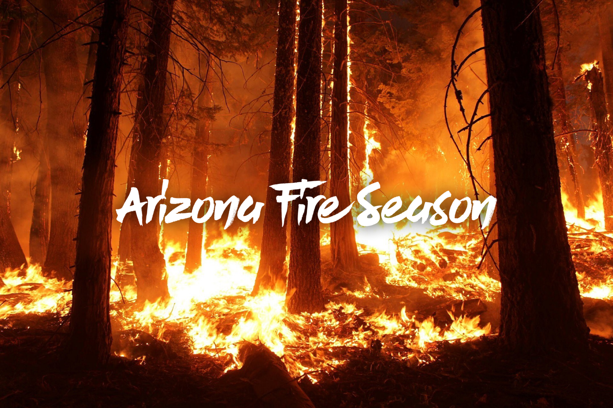 Arizona Fire Season